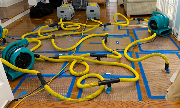 Professional Storm Water Damage Restoration technician working in Glenford, OH